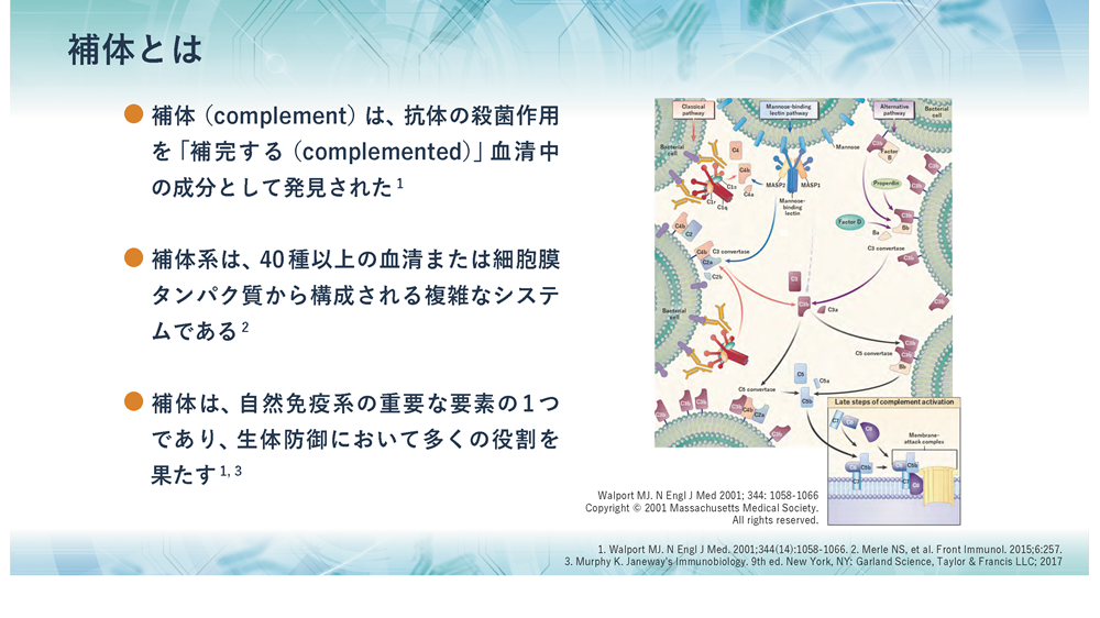 補体Bリーフレット